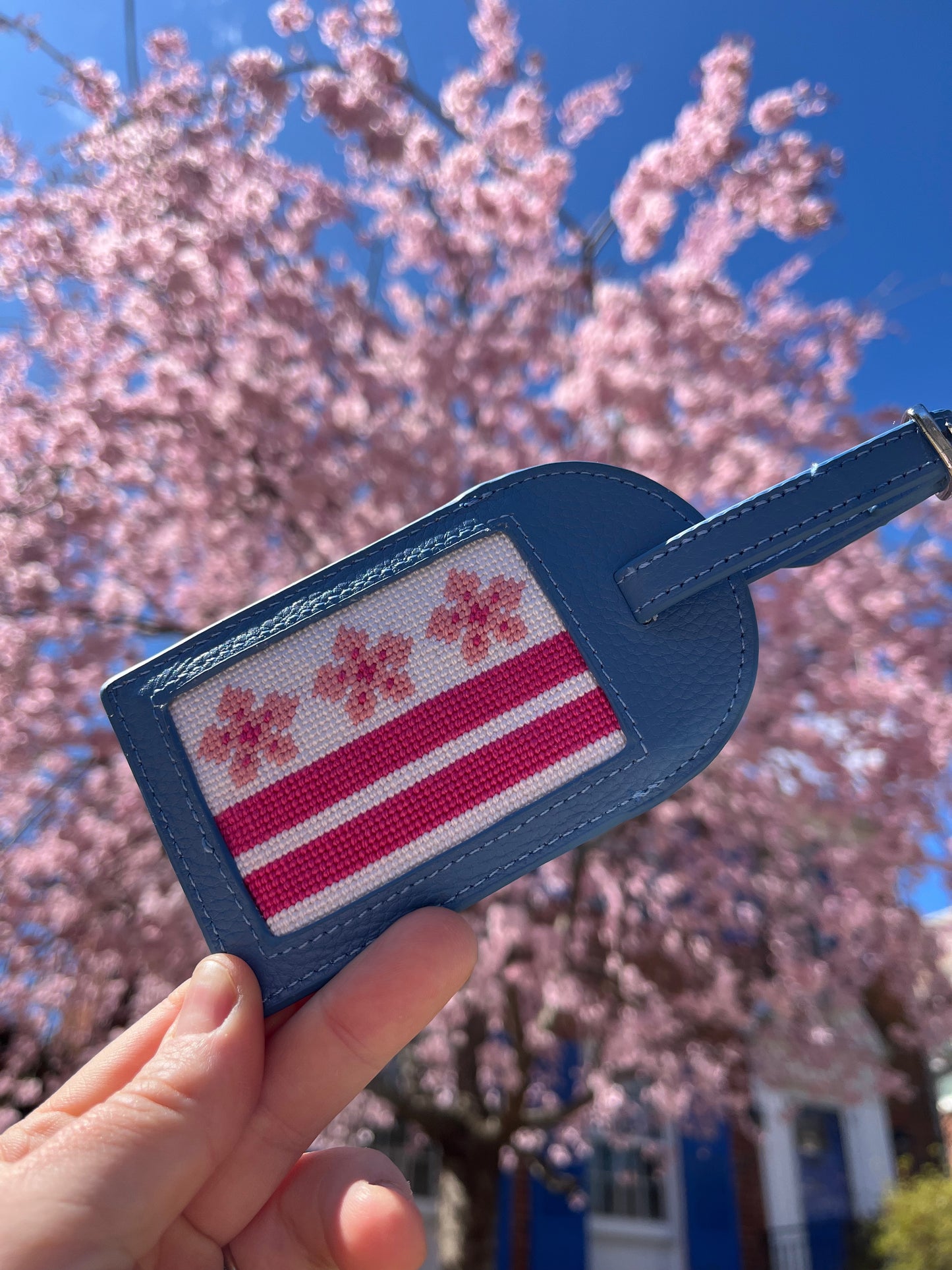 Pride DC Flag